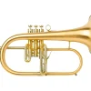 Adams F2 Selected Series Professional Bb Flugelhorn Gold Brass