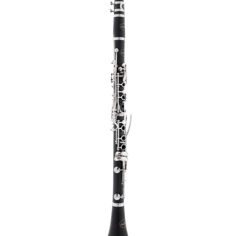 Allora ACL-250 Student Series Clarinet