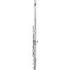 Allora AFL-250 Student Series Flute Offset G C-Foot
