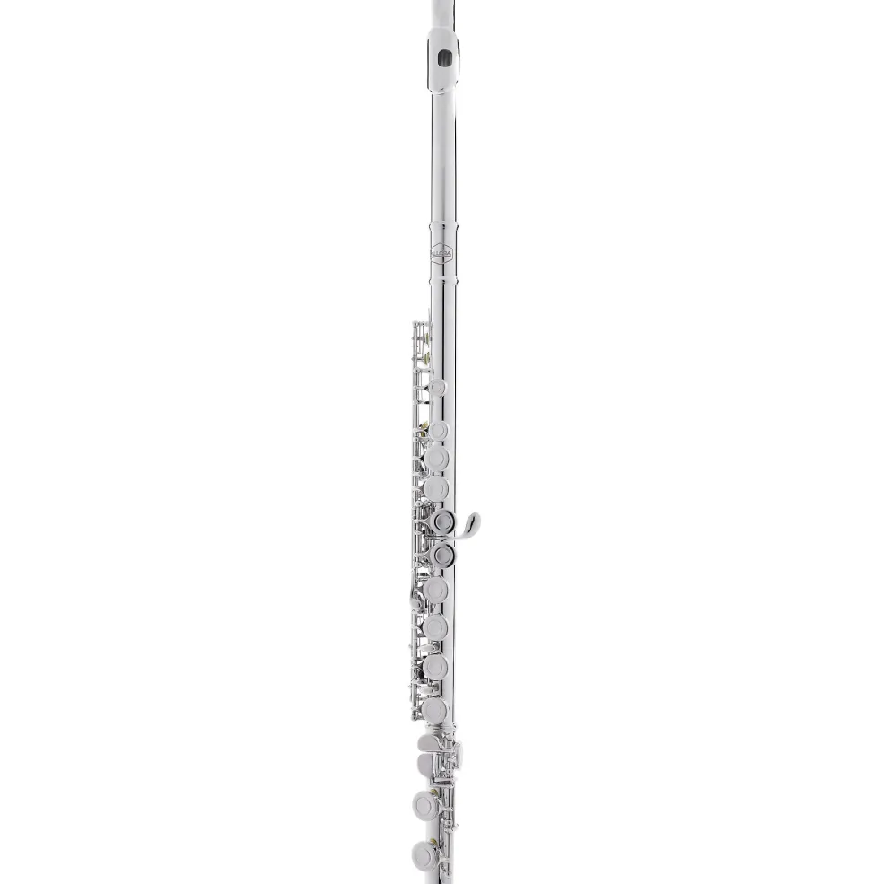 Allora AFL-250 Student Series Flute Offset G C-Foot