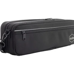 Allora AFL-250 Student Series Flute Offset G C-Foot