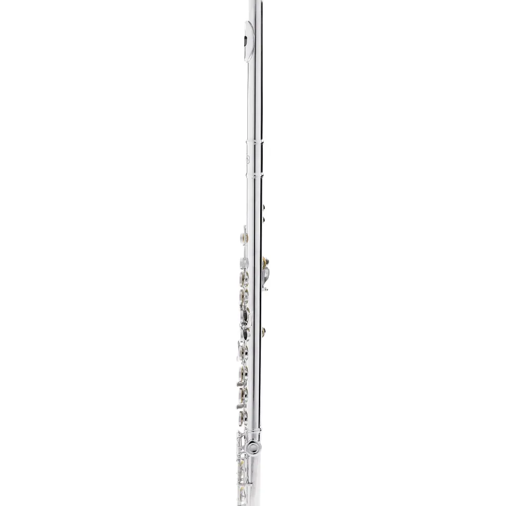 Allora AFL-250 Student Series Flute Offset G C-Foot