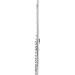 Allora AFL-250 Student Series Flute Offset G C-Foot