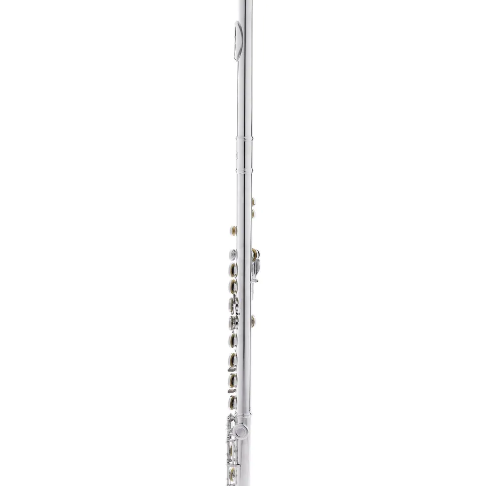 Allora AFL-250 Student Series Flute Offset G C-Foot