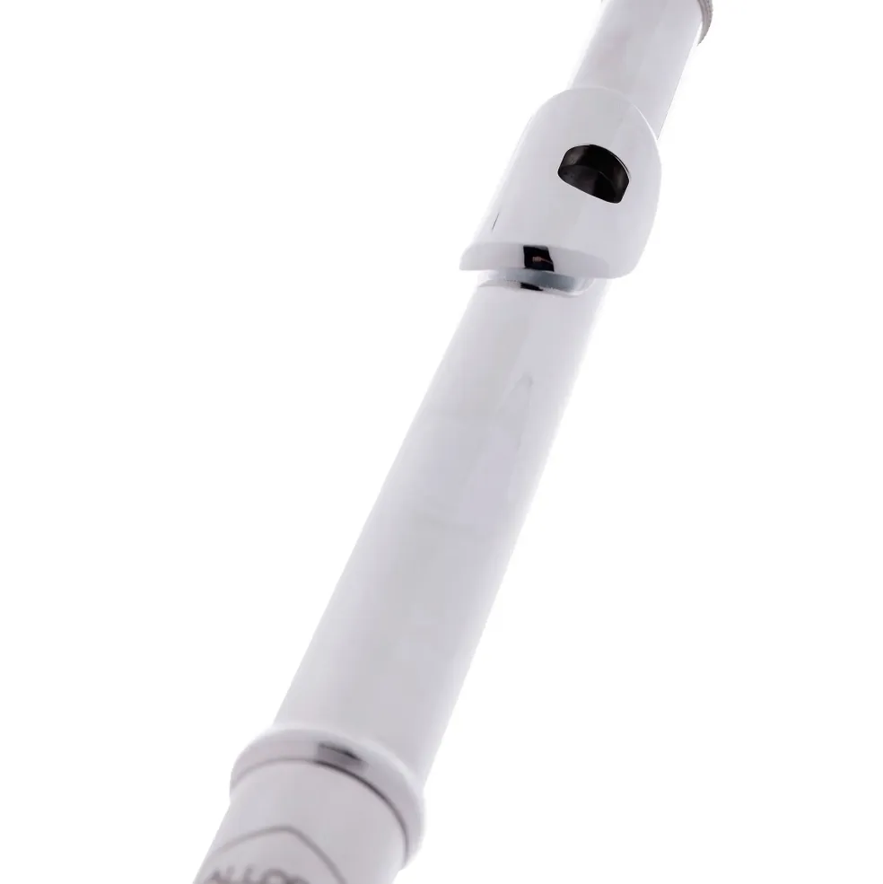 Allora AFL-250 Student Series Flute Offset G C-Foot