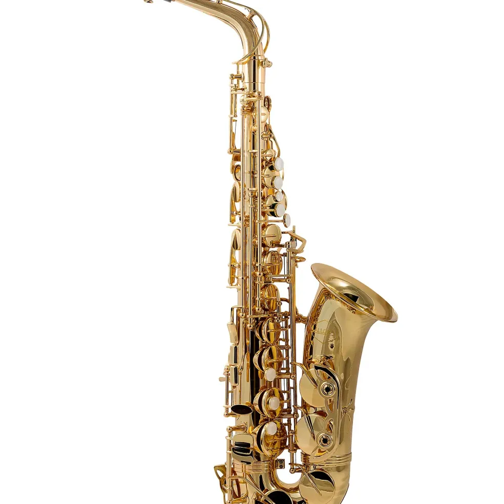 Allora Play It Again Alto Saxophone Kit