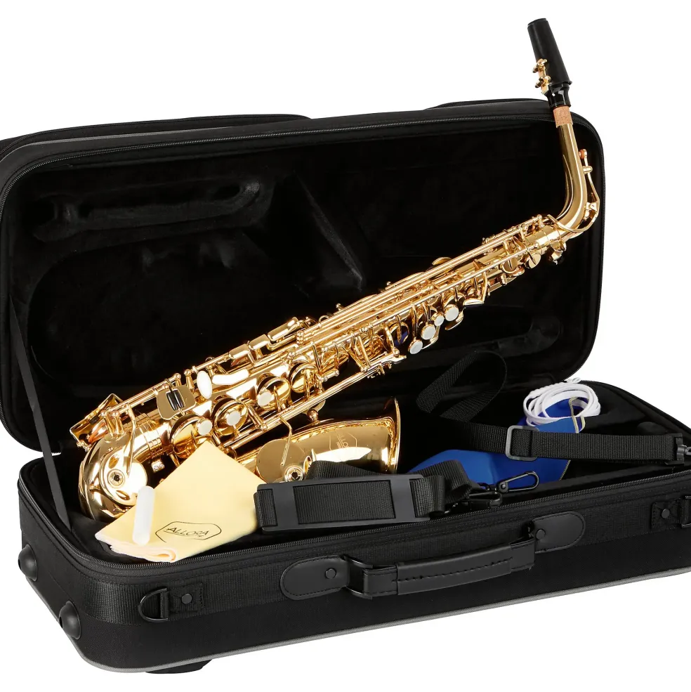 Allora Play It Again Deluxe Alto Saxophone Kit