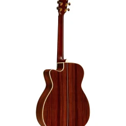 Alvarez Yairi WY1 Cutaway Folk-OM Acoustic-Electric Guitar Sunburst