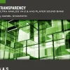 Applied Acoustics Systems Sound Bank Series Ultra Analog VA-2 - Transparency