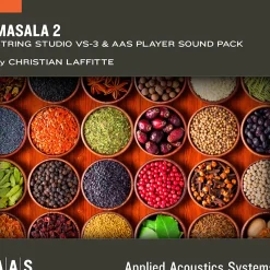 Applied Acoustics Systems Masala 2 - Sound Pack for String Studio VS-3