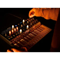 Arturia MicroFreak Hybrid Synthesizer