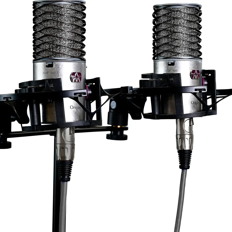 Aston Microphones ORIGIN STEREO PAIR - 2 Origin high-performance cardioid condenser microphone