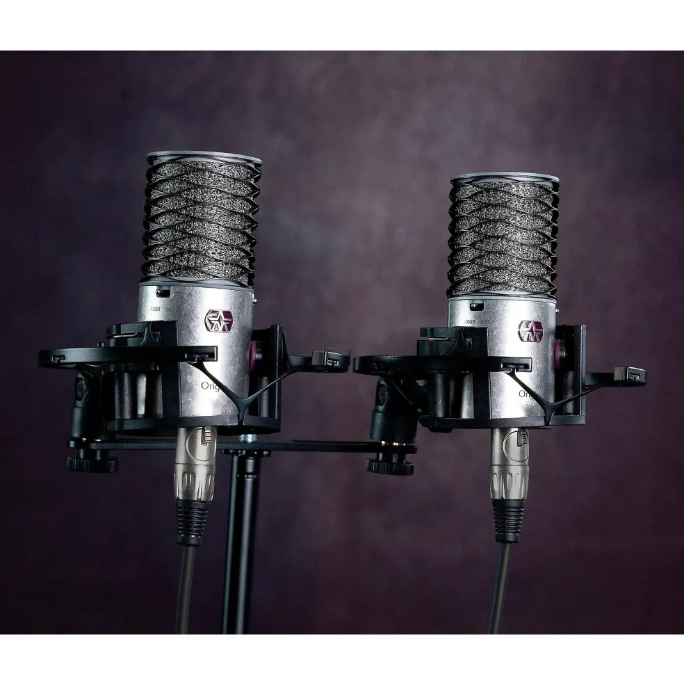 Aston Microphones ORIGIN STEREO PAIR - 2 Origin high-performance cardioid condenser microphone