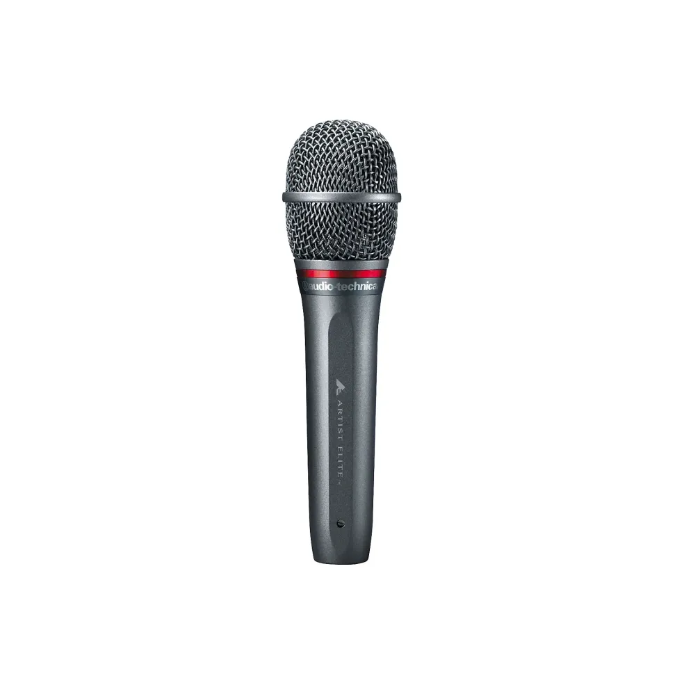 Audio-Technica AE6100 Hypercardioid Dynamic Microphone
