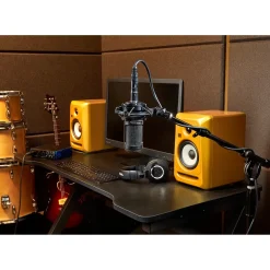 Audio-Technica AT2050 Multi-Pattern Large-Diaphragm Condenser Microphone