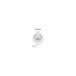 Audio-Technica AT4053B Hypercardioid Condenser Microphone