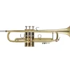 Bach 190 Stradivarius 37 Bell Medium Plus Bore Series Professional Bb Trumpet Lacquer Yellow Brass Bell