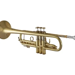 Bach 190 Stradivarius 37 Bell Medium Plus Bore Series Professional Bb Trumpet Lacquer Yellow Brass Bell