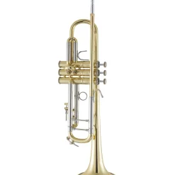 Bach 180 Stradivarius 43 Bell Series Professional Bb Trumpet Lacquer