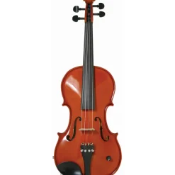 Barcus Berry Vibrato-AE Series Acoustic-Electric Violin Natural