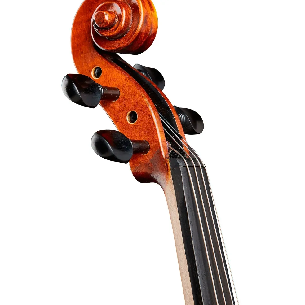 Bellafina Musicale Series Viola Outfit 14 in.