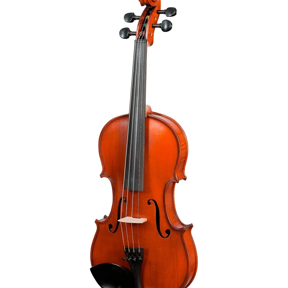 Bellafina Violin Outfit Domenico Model Oblong Case/Brazilwood Bow 4/4