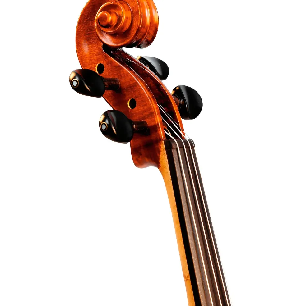 Bellafina Violin Outfit Domenico Model Oblong Case/Brazilwood Bow 4/4