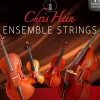 Best Service Chris Hein Ensemble Strings