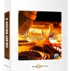 Best Service Galaxy Vintage D Piano