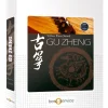Best Service Gu Zheng