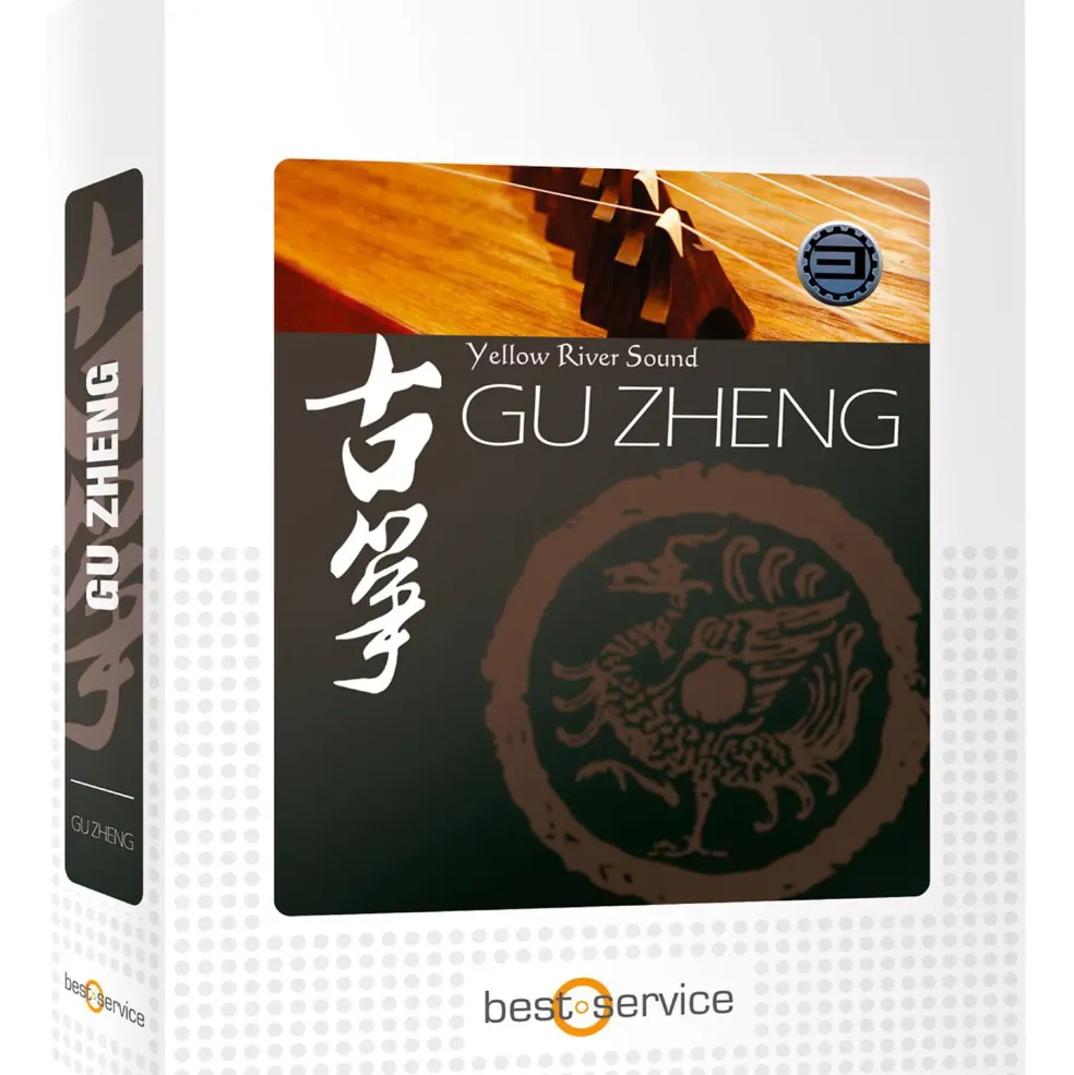 Best Service Gu Zheng