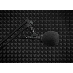 beyerdynamic M88 Dynamic Moving-Coil Microphone (Hypercardioid)