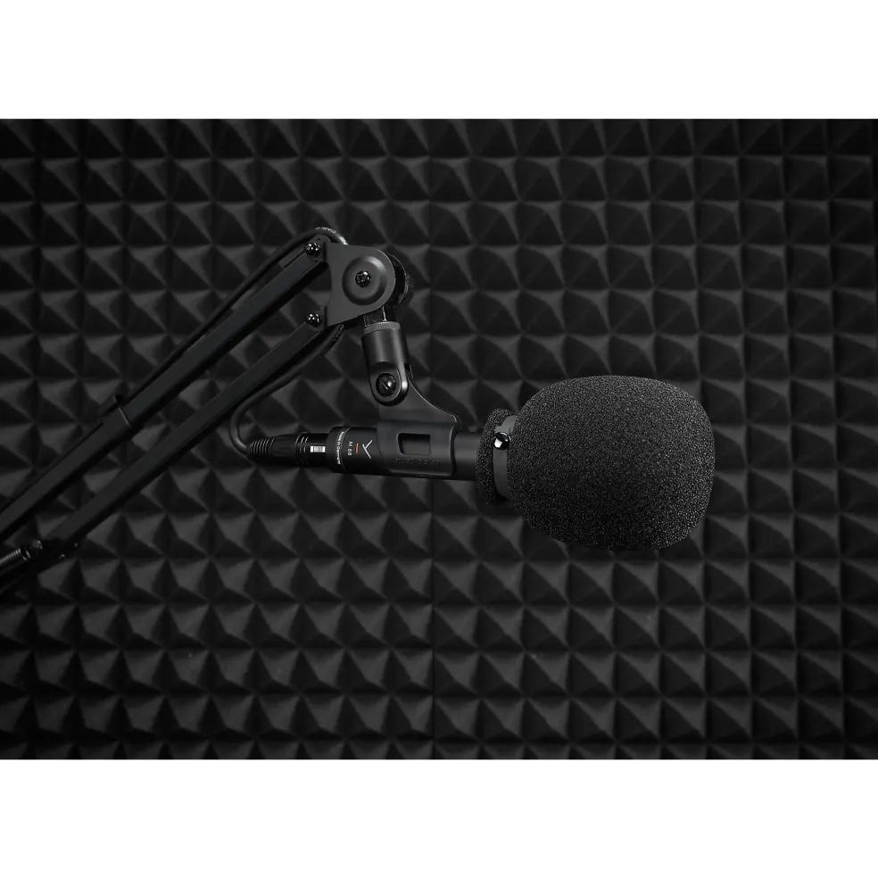 beyerdynamic M88 Dynamic Moving-Coil Microphone (Hypercardioid)