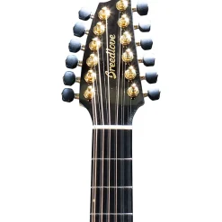 Breedlove Oregon 12-String All Solid Myrtlewood Special-Edition Dreadnought Concerto Acoustic-Electric Guitar Natural