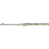Buffet Crampon Divine Bb Professional Clarinet Bb Soprano clarinet