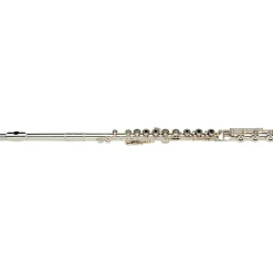 Buffet Crampon Divine Bb Professional Clarinet Bb Soprano clarinet