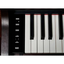 Casio AP-550BN Celviano Console Digital Piano Rosewood