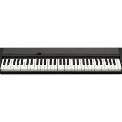 Casio Casiotone CT-S1 61-Key Portable Keyboard Black
