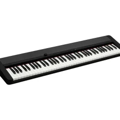 Casio CT-S1 76 Portable Keyboard Essentials Bundle Black