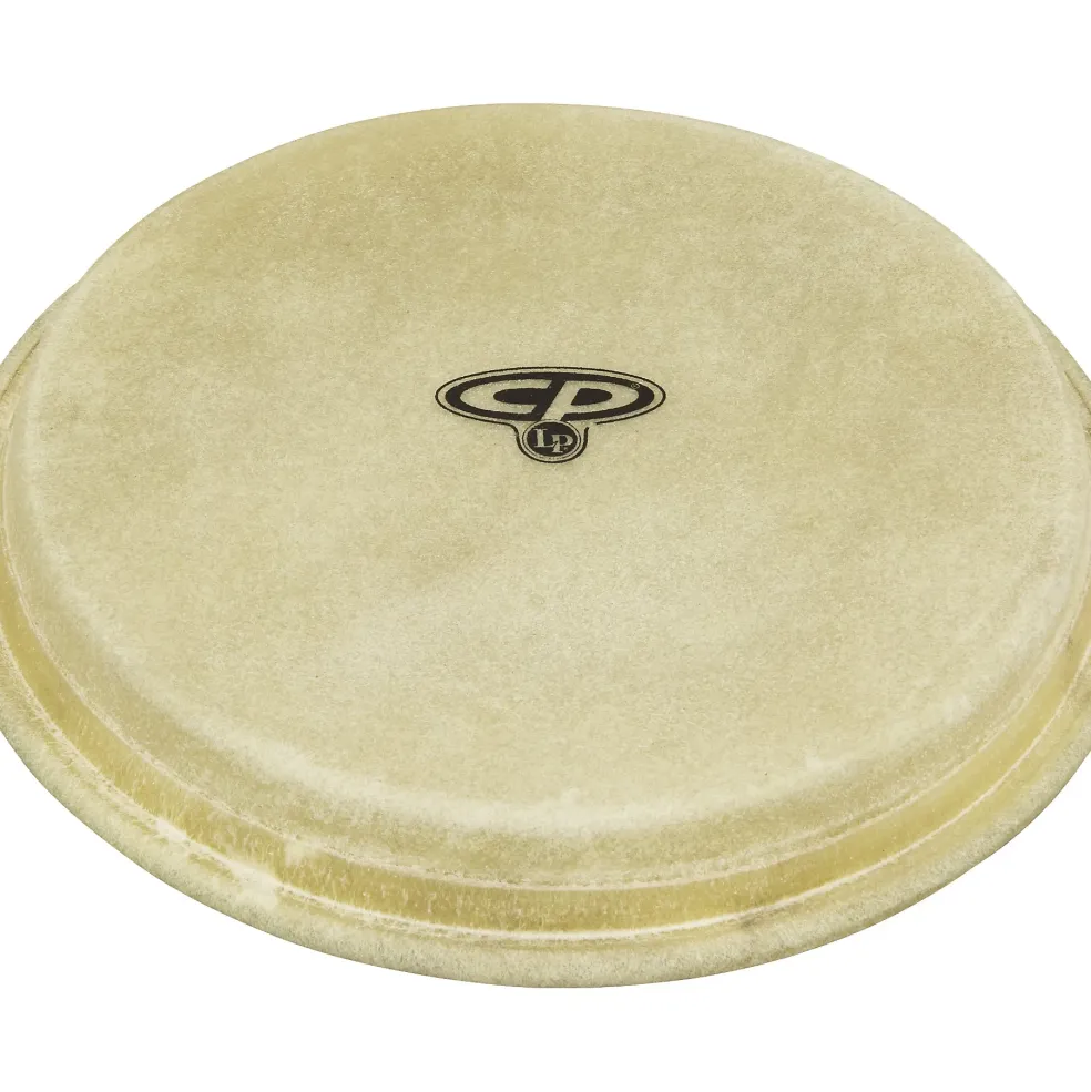 CP Bongo Head 7 in