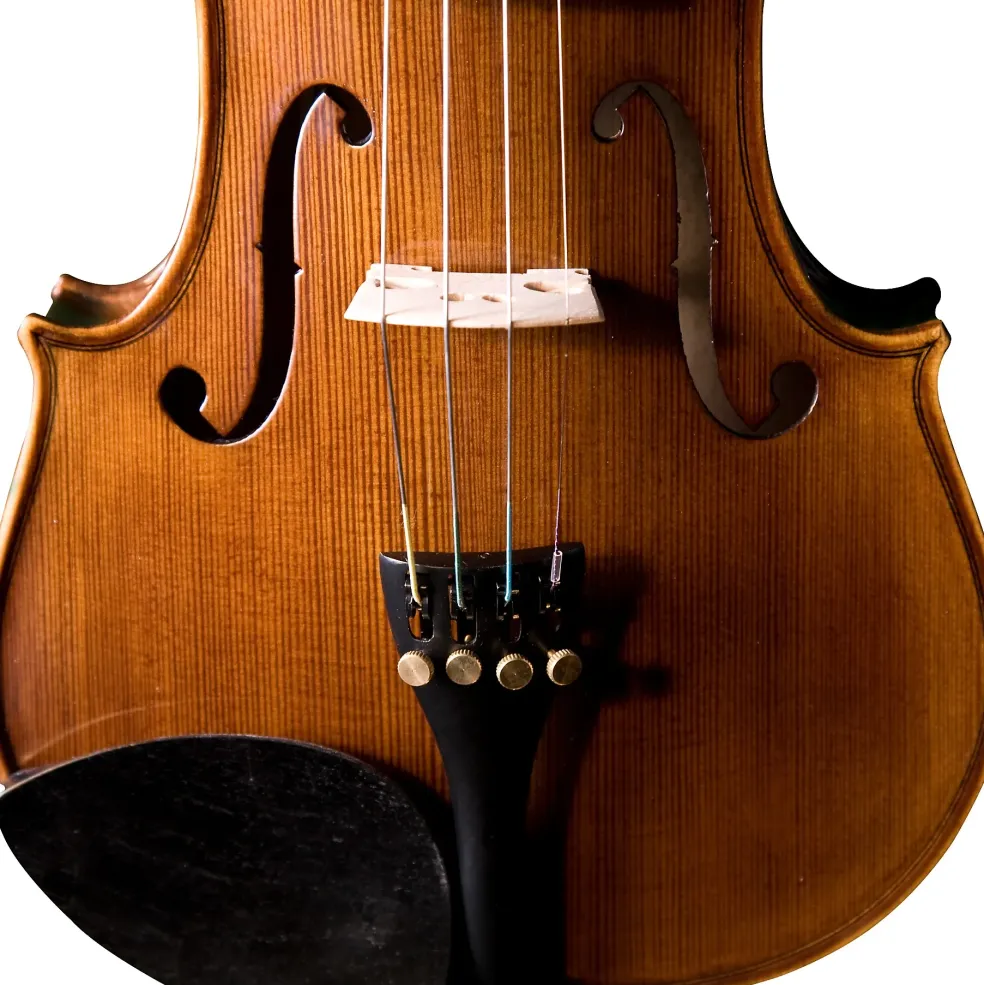 Cremona SV-175 Violin Outfit 4/4 Size