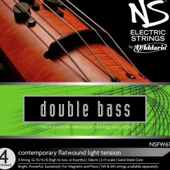 D'Addario NS Electric Contemporary Bass String Set