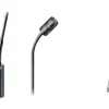 DPA Microphones 4018 Supercardioid Mic, Black, XLR, 32 cm (13 in) Boom, Top and Bottom Gooseneck