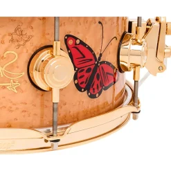 DW Sheila E. ICON Snare Drum 13 x 5.5 in.