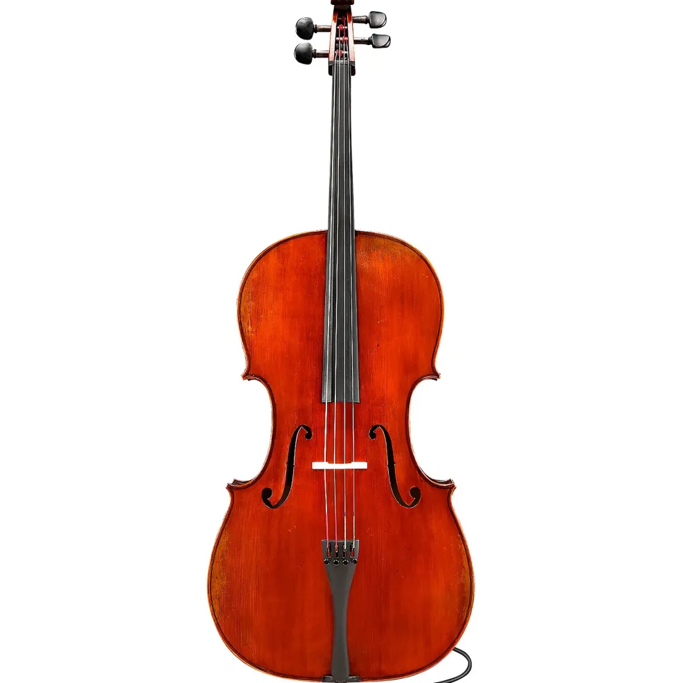 Eastman Albert Nebel VC601 Series+ Cello Outfit with Case and Bow 4/4