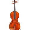 Eastman Andreas Eastman VL405 Series+ Violin Outfit with Case and Bow 4/4