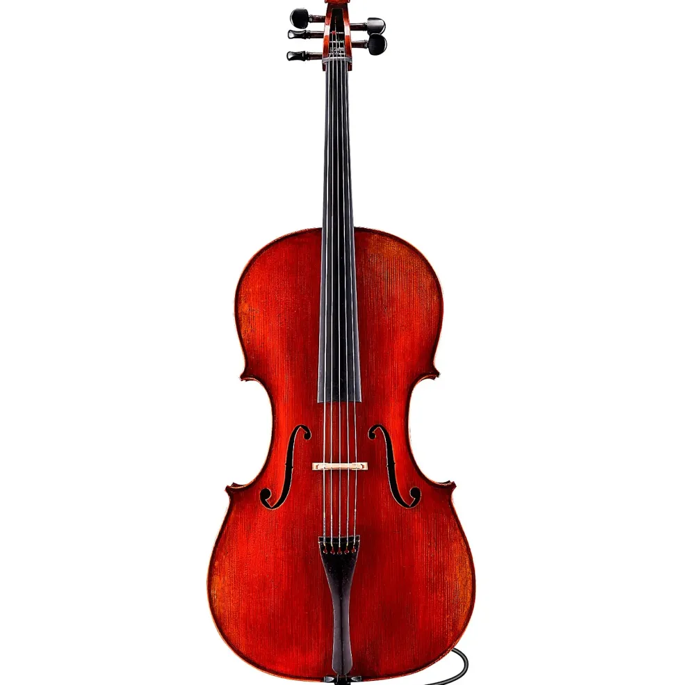 Eastman Rudoulf Doetsch VC7015 Series+ 5-String Cello with Case and Bag 4/4
