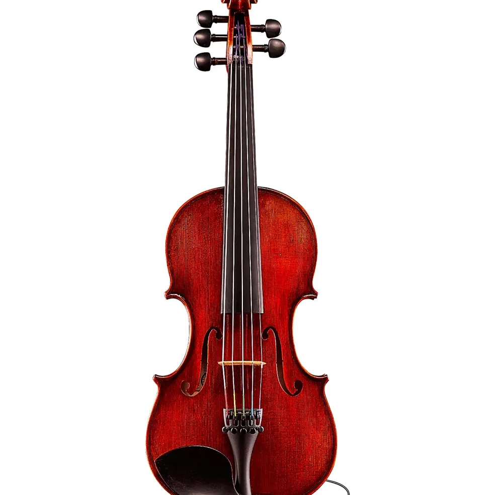 Eastman Rudoulf Doetsch VA7015 Series+ 5-String Viola 15.5 in.