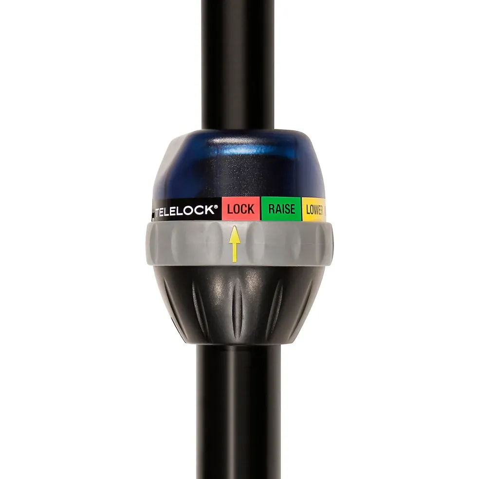 Electro-Voice ZLX-8P G2 Powered Speaker Pair With ELX200-12SP Subwoofers, Stands and Cables