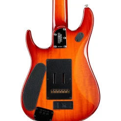 Ernie Ball Music Man John Petrucci 7 JP7 Koa Top Ebony Fingerboard Electric Guitar Koa